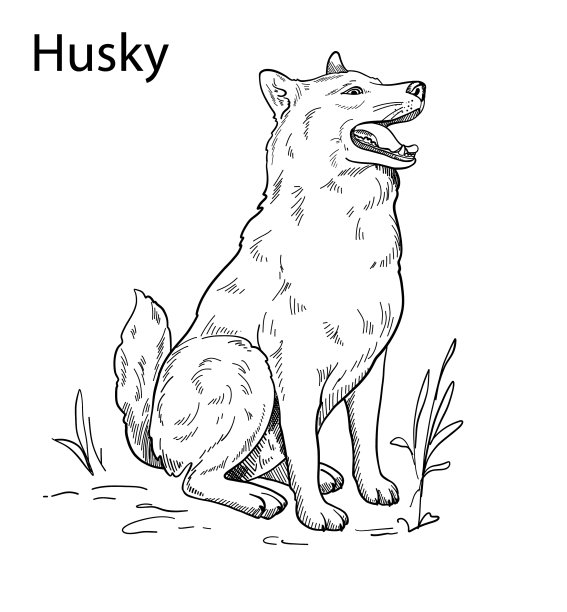 哈士奇的手绘剪影图片下载