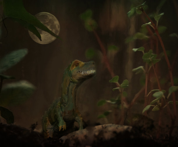 森林里的月光图片下载