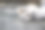 狗爪子。可爱的特写图片图片下载