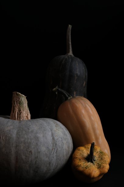 秋天的静物图片下载