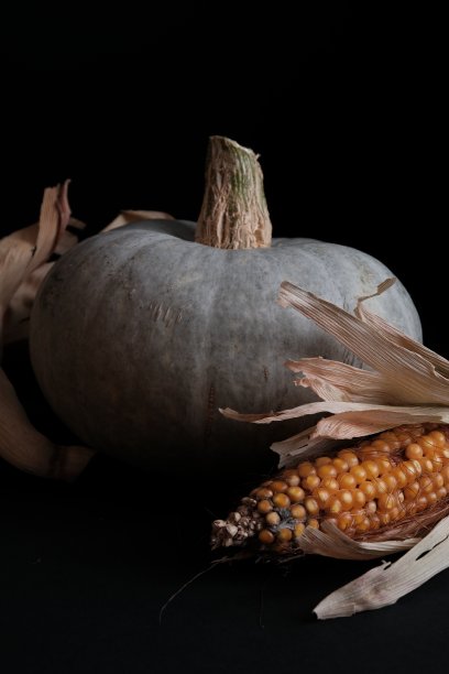 秋天的静物图片下载