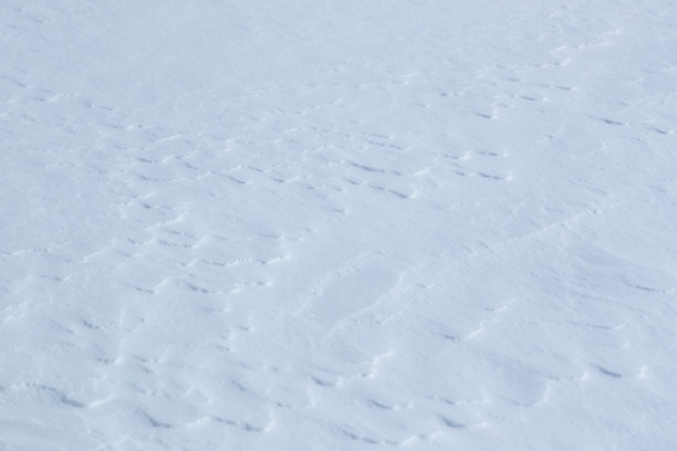 天然的原始积雪覆盖纹理图片下载