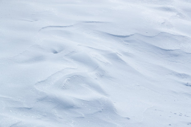 天然的原始积雪覆盖纹理图片下载