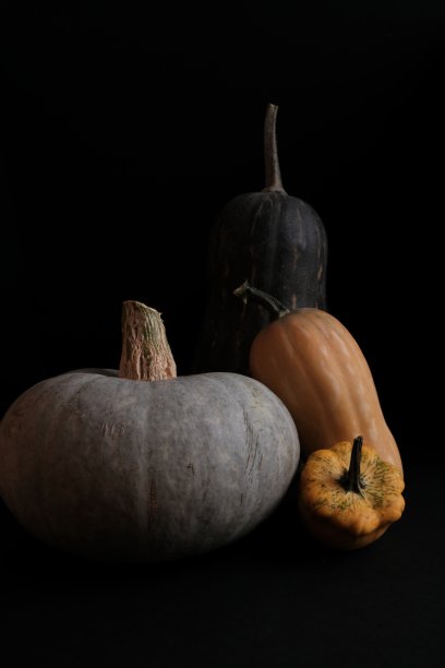 秋天的静物图片下载