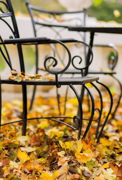 桌椅上缀着秋天的落叶图片下载