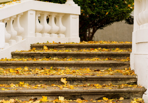 楼梯上的落叶。秋天的颜色图片下载
