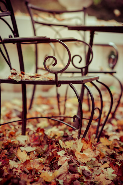 桌椅上缀着秋天的落叶图片下载