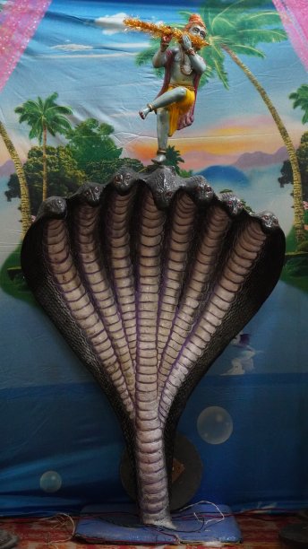 克里希纳神站在seshnag hd上的美丽雕像。图片下载