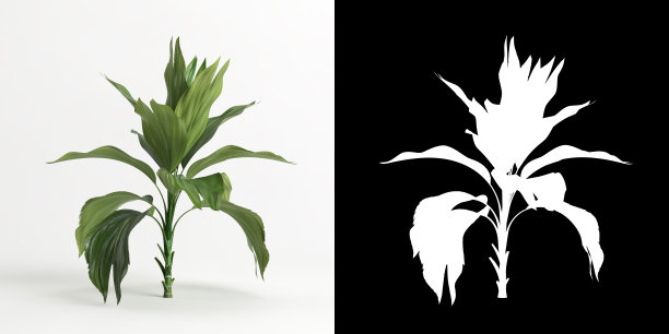 金属变色龙树分离在白色和它的掩膜的三维插图图片下载