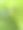 热带树叶在绿色的树叶背景上，两片树叶相互叠加。图片下载