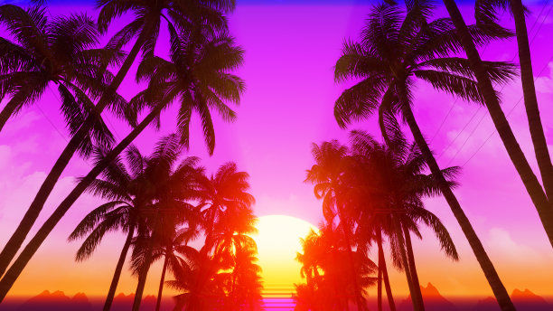 夏日村的椰子树植物图片下载