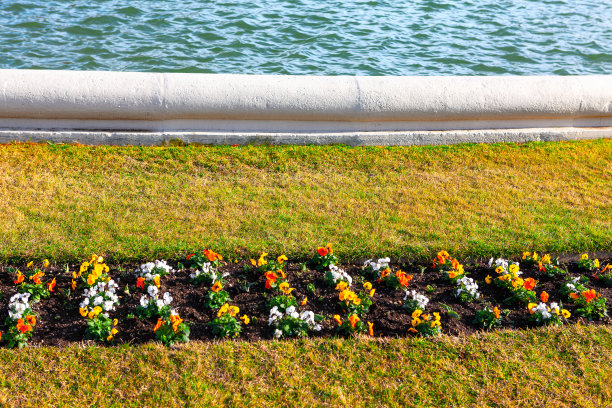公园里的盆栽花图片下载
