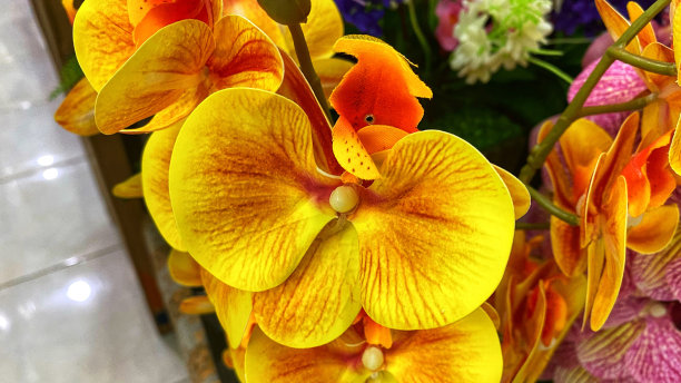 美丽美丽的塑料玫瑰在家里展示图片下载