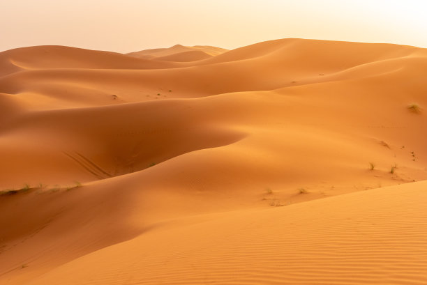 摩洛哥美丽的撒哈拉沙漠图片下载