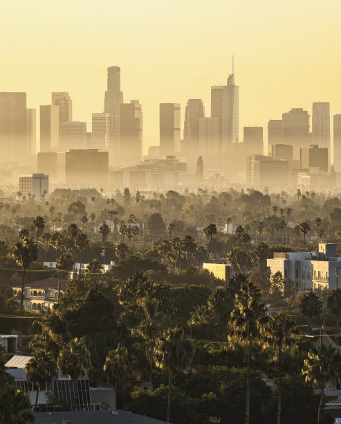 Sunrise的图片下载