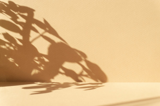 棕色米色极简抽象纹理背景在阳光下，与花的阴影。化妆产品的演示，演示图片下载