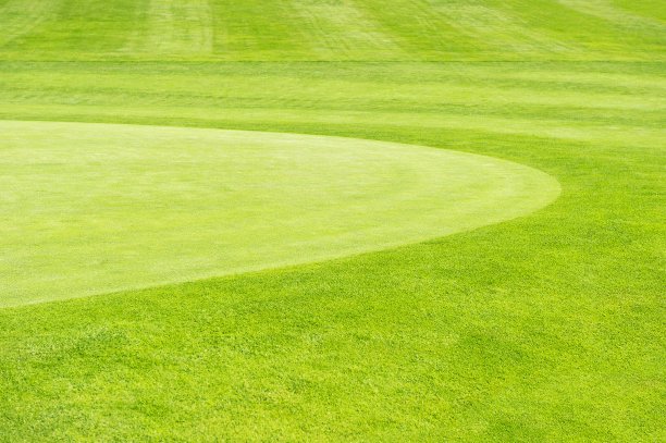 绿色草地背景高尔夫球场图片下载