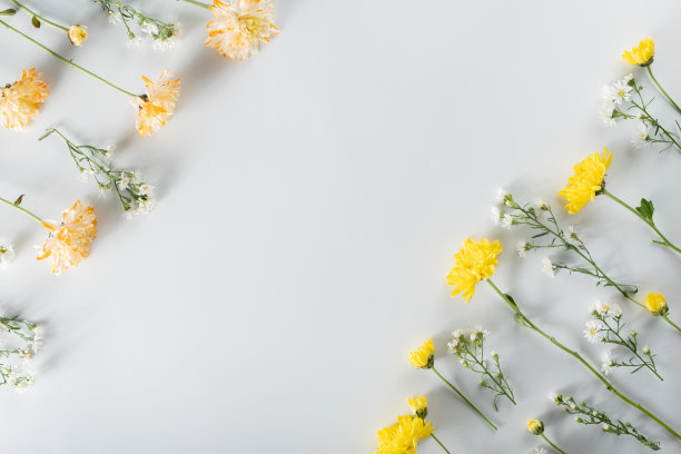 菊花和切花组成。由各种黄色或橙色的花朵和绿叶在白色的背景制成的图案和框架。平面布局，俯视图，复制空间，春天，夏天的概念。图片下载