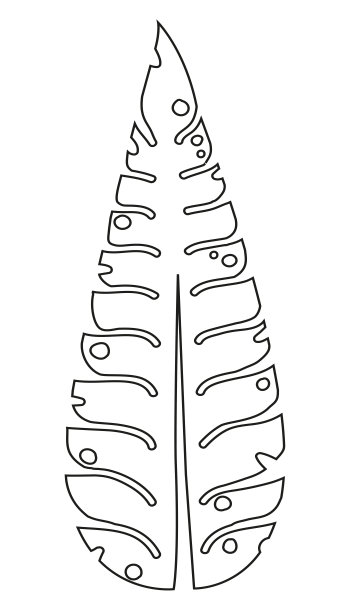 大棕榈叶垂直长有孔，轮廓上有黑线，装饰艺术图片下载