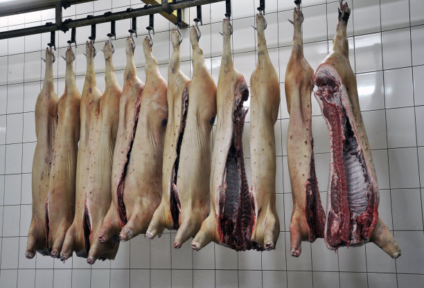 在那家加工猪肉的店里图片下载