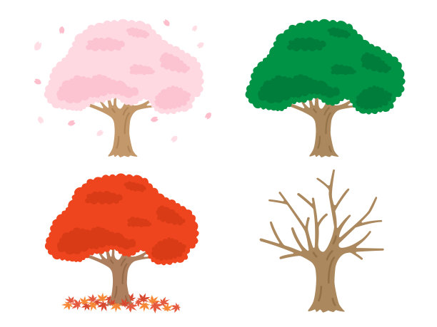 季节性的树木插图集。图片下载
