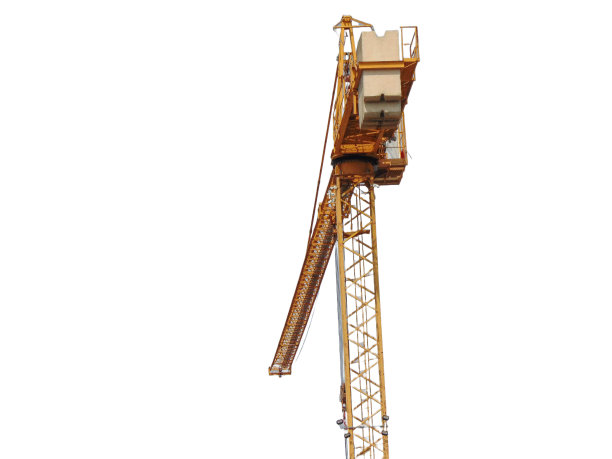 白底孤立的白鹤图片下载