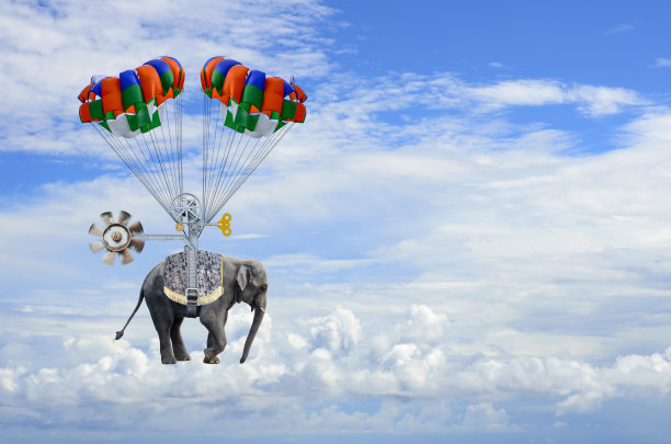 《大象的梦幻飞行》图片下载