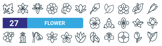 一套27轮廓网花图标如枫叶，百合，水仙花，叶子，三角梅，仙人掌，philodendron，叶矢量细线图标的网页设计，手机应用程序。图片下载