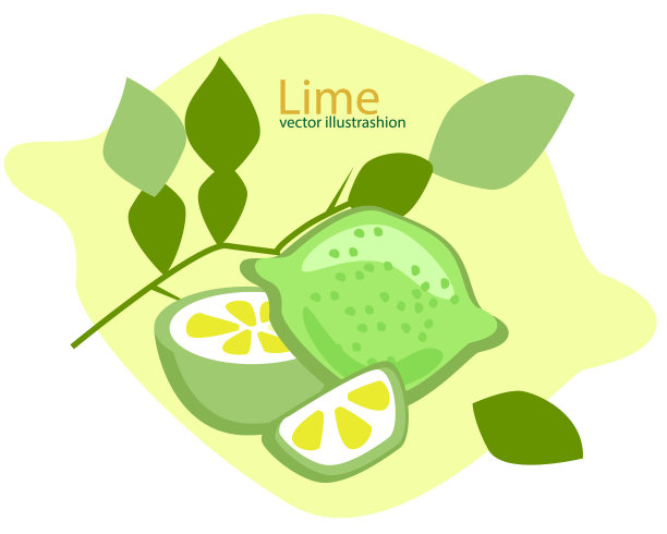 整个酸橙水果，半片和一片酸橙叶图片下载