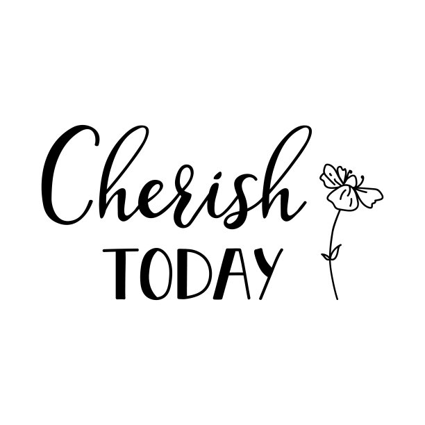 珍惜今天。刻字。墨水插图。t恤的设计。图片下载