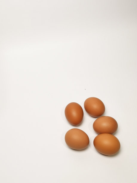 棕色或生鸡蛋放在鸡蛋纸盒中，在白色背景上隔离图片下载
