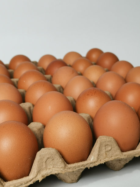 棕色或生鸡蛋放在鸡蛋纸盒中，在白色背景上隔离图片下载