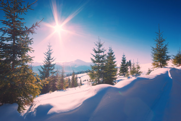 喀尔巴阡山脉的冬天图片下载