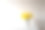 水仙花放在靠墙的桌子上的白色花瓶里图片下载