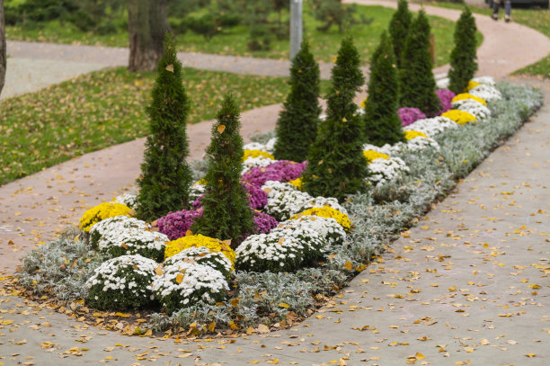 景观公园里的常绿乔木和灌木，有花坛图片下载