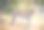 创意斯里兰卡野生动物图片图片下载