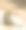 创意斯里兰卡野生动物图片图片下载
