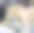 创意斯里兰卡野生动物图片图片下载