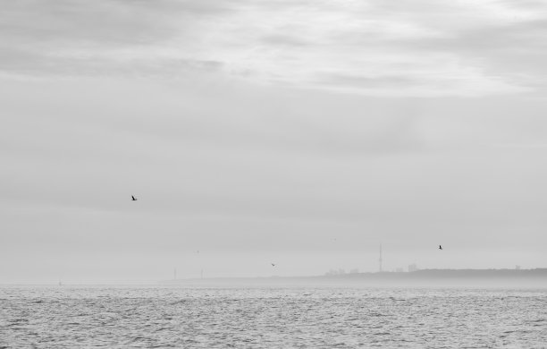 透过薄雾看到多伦多天际线的远景图片下载