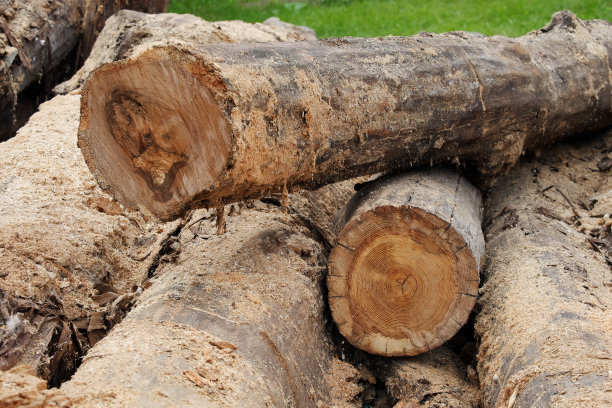 准备炉子加热用的木柴。锯树干做壁炉图片下载