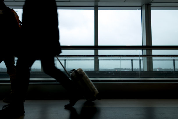 旅行者图片下载