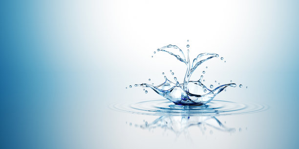 水苗溅波图片下载