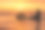 两个人在SUP Board在金色的夕阳图片下载