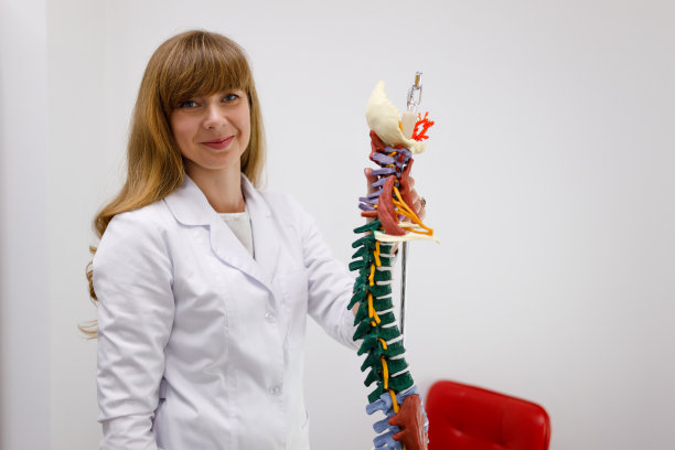 女医生的肖像神经科或骨科医生
临床解剖脊柱模型图片下载