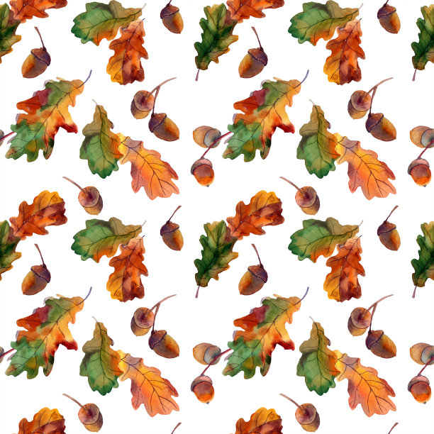 水彩无缝图案秋季绿色和黄色橡树叶子在白色背景。植物学橡树叶，橡子插图。图片下载
