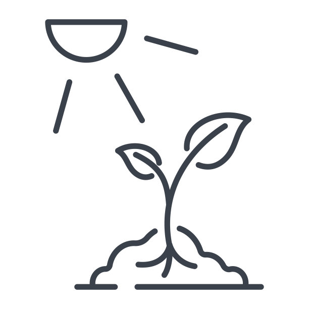 一个芽在阳光下从地面生长，矢量孤立的平面插图。图片下载