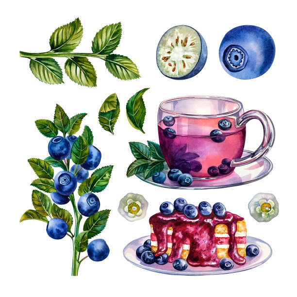 蓝莓。茶、甜点和蓝莓。蓝莓的花和叶子。水彩插图。孤立。图片下载