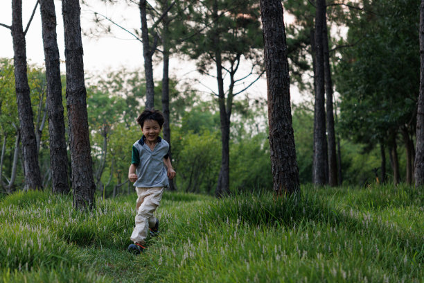 一个小男孩在森林里奔跑图片下载