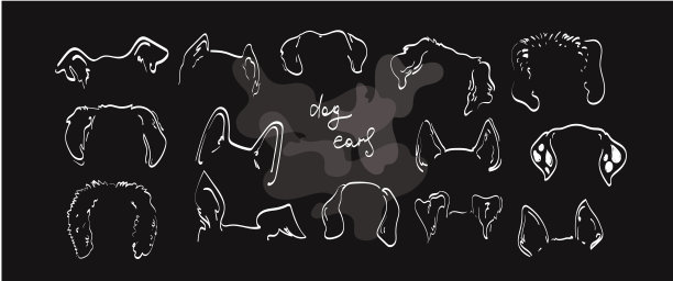 宠物狗耳朵轮廓画涂鸦素描矢量图标插图图片下载