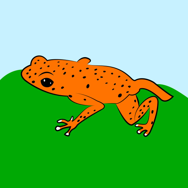 青蛙平图片下载